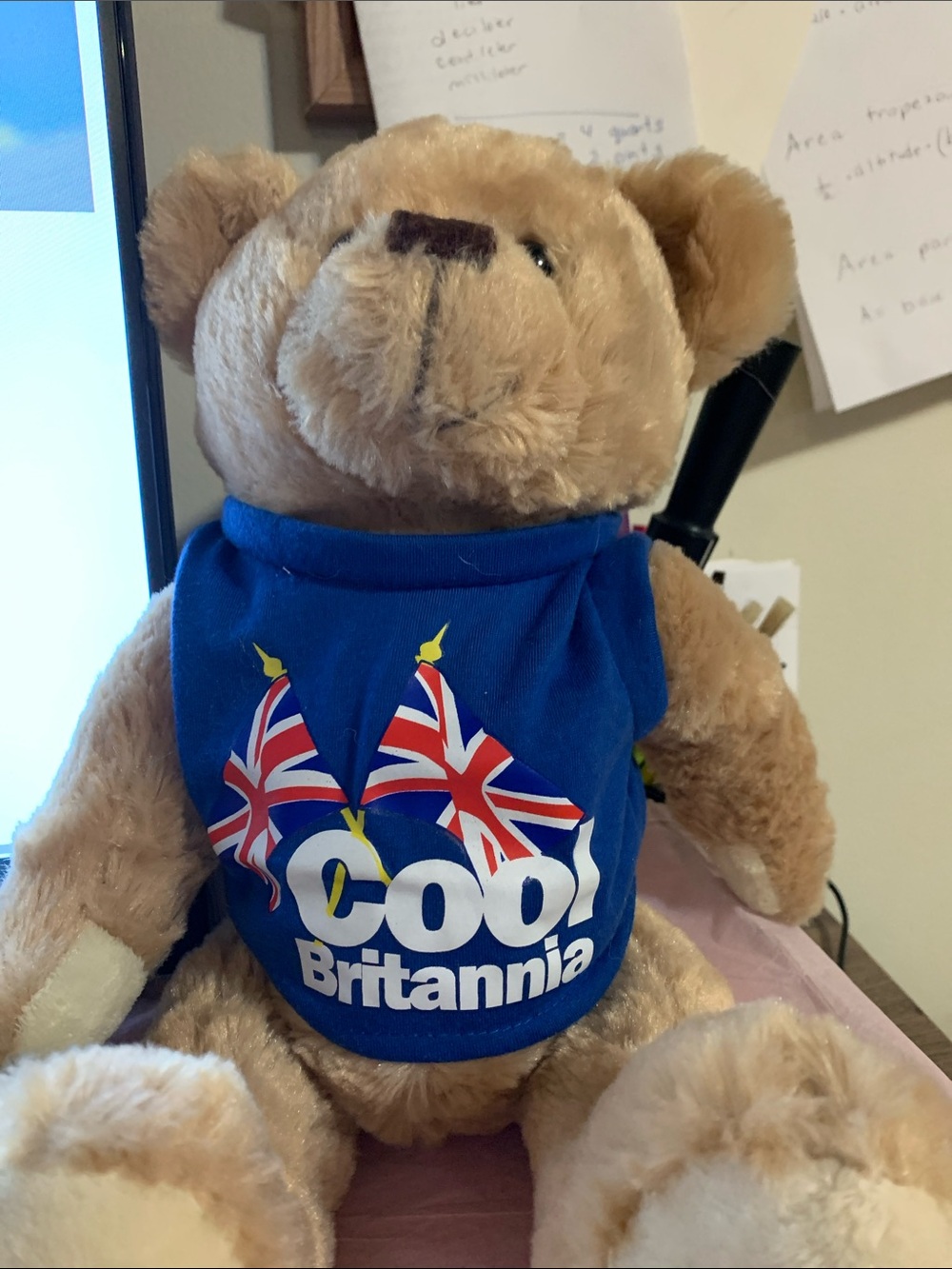 Tan Teddy Bear Plush with Blue 'Cool Britannia' Shirt